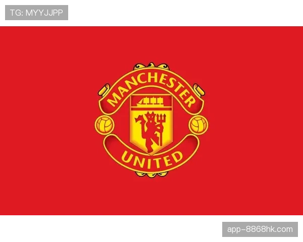 曼联的阵容问题，是“拼凑”而不是“构建”