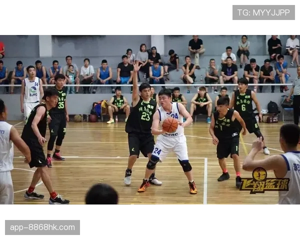 一文读懂篮球比赛中的中线规则与关键判罚标准